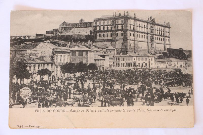 Ficheiro:Fotografia Nº3.jpg